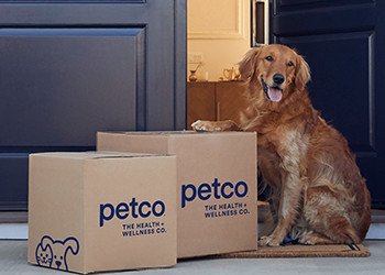 Golden retriever next to Petco delivery boxes